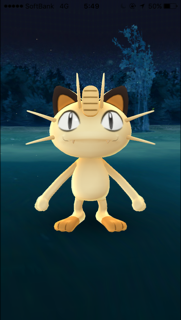 IMG_4529.PNG
