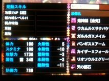 mh4g-耳栓.jpg